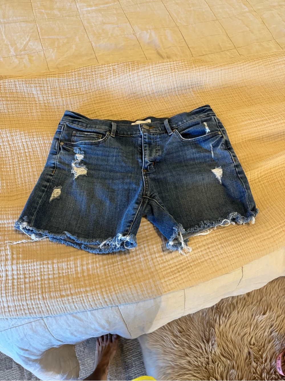 LOFT Distressed Dark Blue Denim Cutoff Shorts Size 27